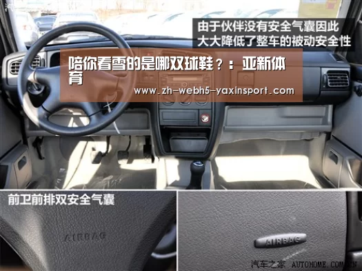 陪你看雪的是哪双球鞋?:亚新体育(图5) 亚新体育