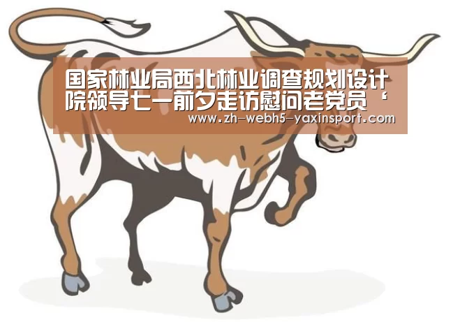 亚新网站